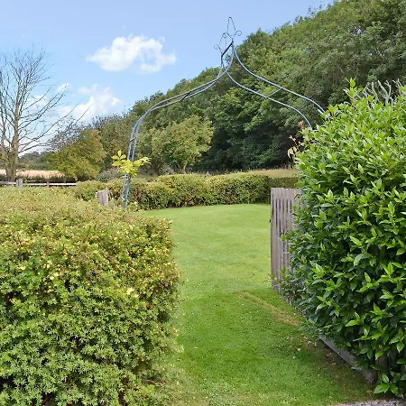 Geasea Sawdon